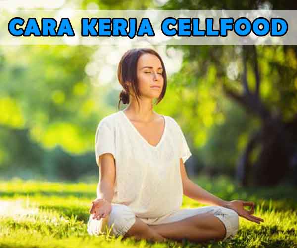 CARA-KERJA-CELLFOOD