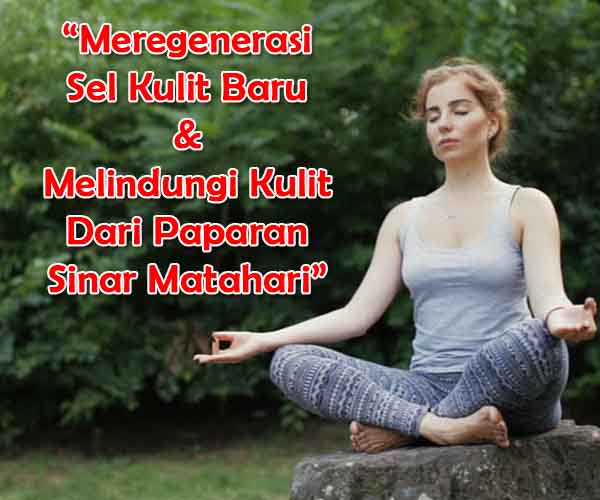Cara-Kerja-Pynocare-White