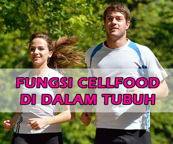 Fungsi-Cellfood