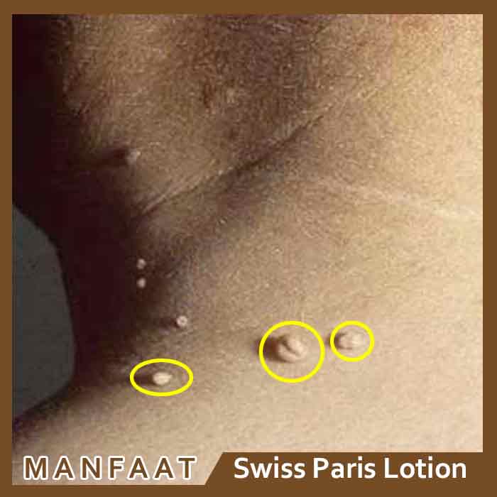 Swiss Paris Lotion Review 